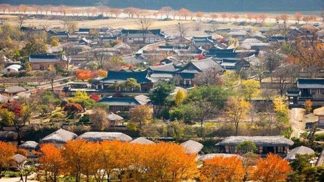 안동 가볼 만한 곳, 고풍스러운 매력과 현대적 감성이 공존하는 길