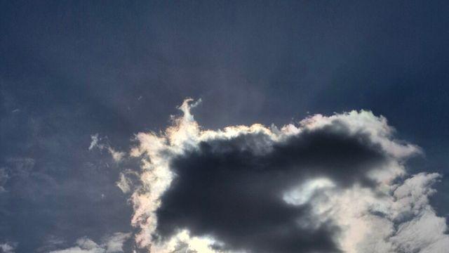 [보감과의 동행164]    흑룡하산하시던길목에서