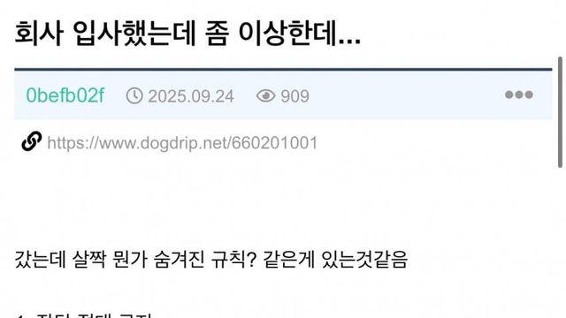 회사 입사했는데 분위기가 이상함