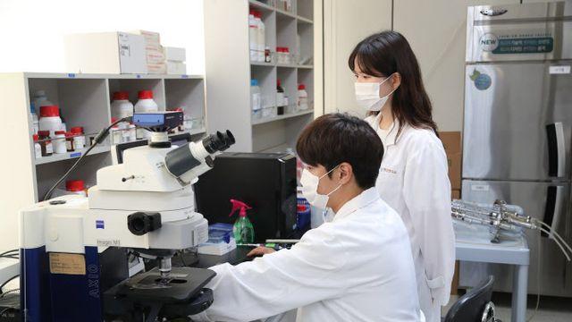 hy, 특허 유산균 HP7 ‘소화기능 개선’ 논문 국제학술지 게재