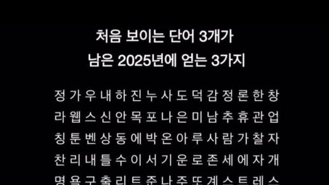 처음 보이는 단어 3개가 남은 2025년에 얻는 3가지