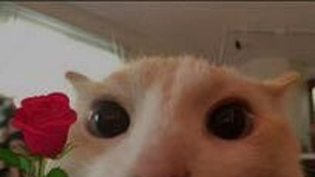 구글의 '나노 바나나 2' 성능 테스트 근황 .jpg