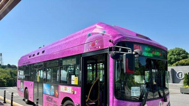 핑크핑쿠 수상할정도로 핑크를 좋아하는 남자