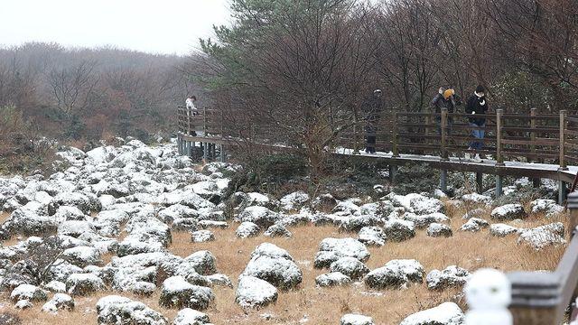 제주 가끔 비, 산지에는 눈…낮 최고 12∼15도