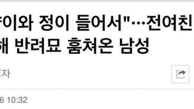 전 여친집에서 고양이 훔친 남자.