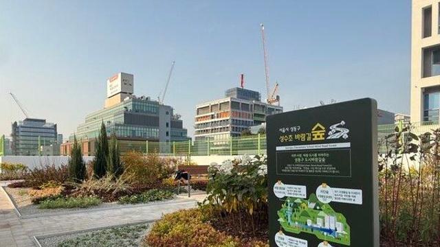 성동구, 성수초 옥상 활용해 바람길숲 조성