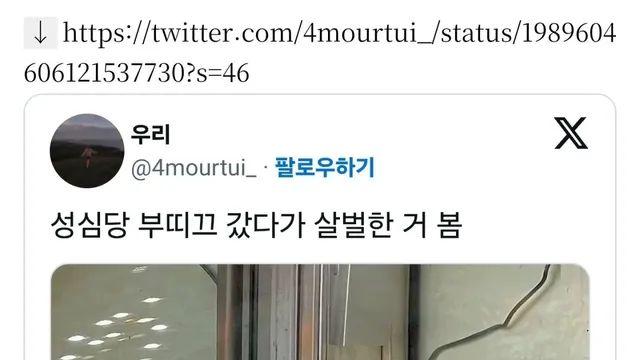 살벌한 메뉴가 나왔다는 성심당,,