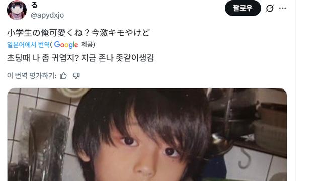 일본에서 난리난 트윗