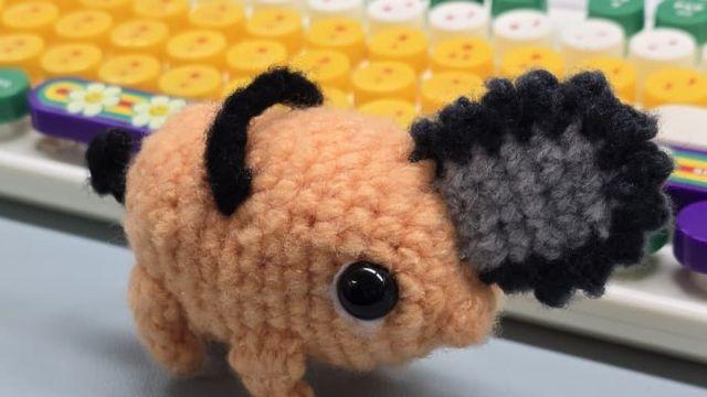 포치타 만들었어요