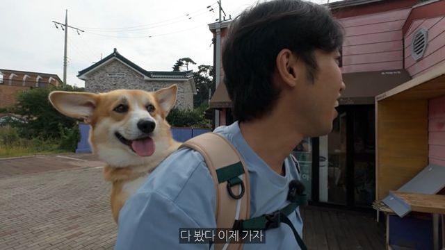 태안 반려동물 동반여행 콘텐츠 대상에 '견생여행' 영상