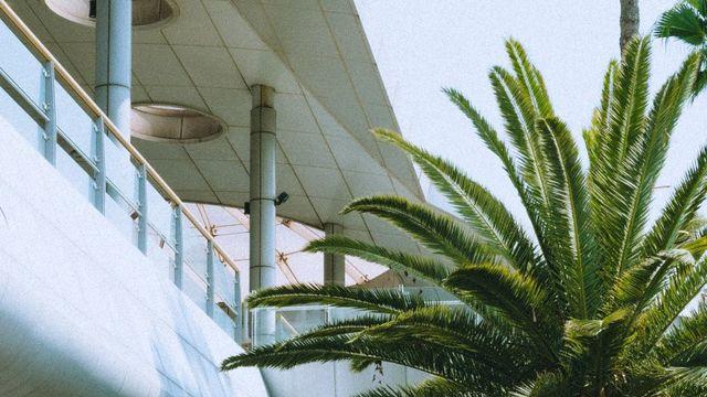 제주여행사진 gr3x 10장