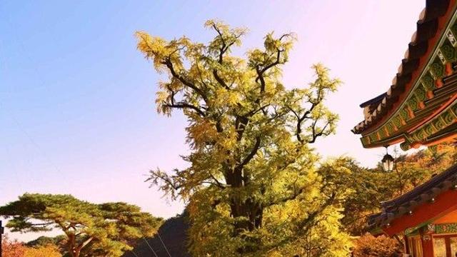 경기 양평 가볼 만한 곳, 고즈넉한 풍경과 가을 정취 가득한 곳