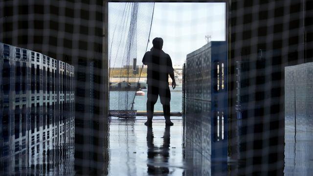 中, 日에 추가 보복 카드…日수산물 수입 재개 보름만에 또 중지(종합)