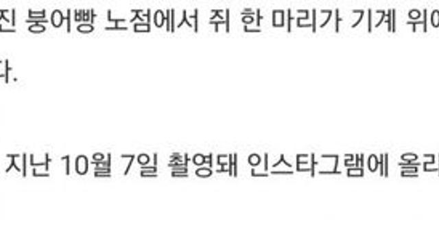 서울 길거리 근황