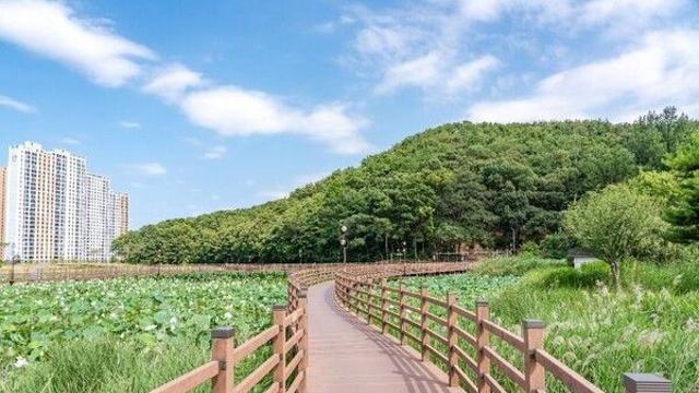 구미의 가을 정취, 자연 속 산책과 미식의 향연이 펼쳐지는 여행