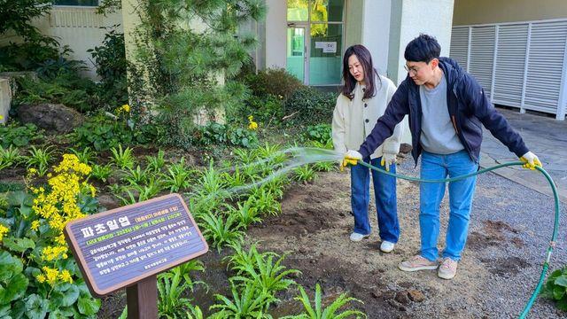 금호석유화학그룹, 임직원이 직접 가꾼 멸종위기종 ‘파초일엽 ‘식재
