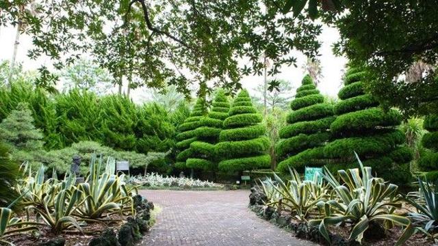 색다른 제주여행... 미로 탐험하고  캐릭터 정원 걷고 달콤함에 빠지다