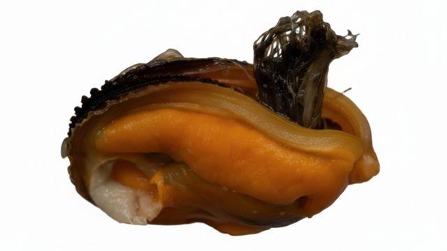 이런 게 있었다니…모르고 먹을 수 있는 홍합에 붙은 ‘털’ 정체, 이런 비밀이...
