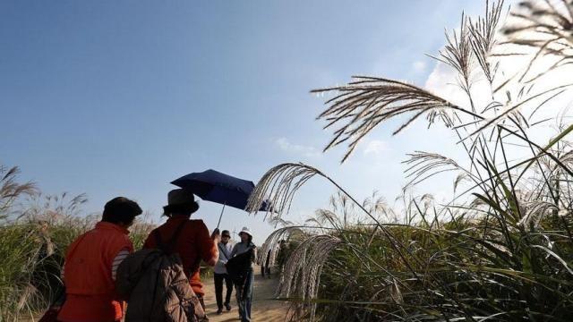 [내일 날씨] 출근길 아침  영하권, 낮은 최고 16도