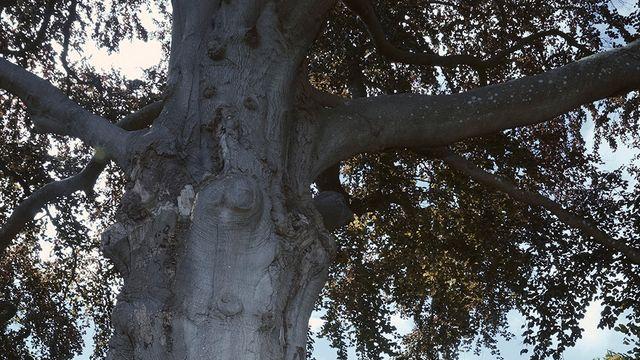 ‘컴백 D-5’ 라이즈, 싱글 ‘페임’ 트랙 리스트 따라 즐기는 ‘이모셔널 팝’