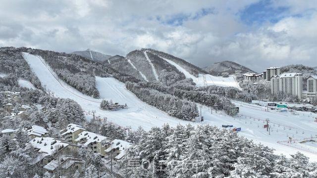 추위야 반갑다! 스키시즌 개막...모나용평, 국내 스키장 중 처음으로 21일 개장