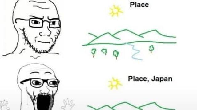 요즘 서양 틱톡에서 재유행하는 밈…jpg