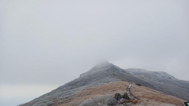 전남 목포에 올겨울 첫눈…지난해보다 24일 일러(종합)