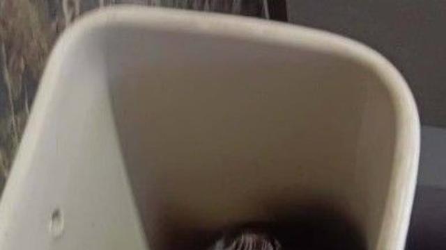 변기 속에서 들려온 울음소리…물탱크 열어보니 신생아