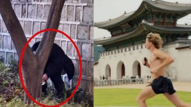 “예의 좀”…경복궁 ‘용변 테러’ 모자라 옷 벗고 뛰는 외국인들