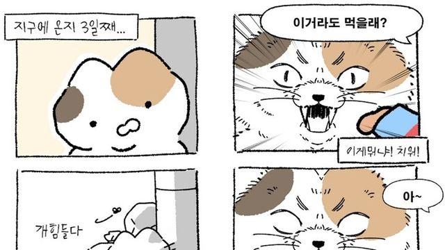 고양이 X T2E. ‘스낵캣’,  콘텐츠로 SNS 유입 가속화