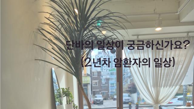 2년차 암환자의 하루 [카드 뉴스]