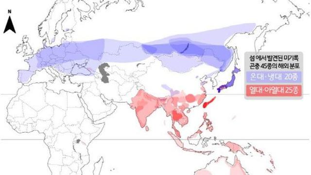섬에서 발견된 미기록종 곤충 45종…절반 이상이 열대·아열대성