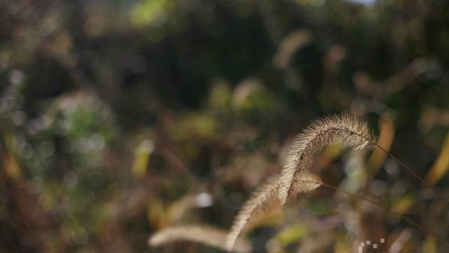 [이슈메이커] 고요를 흔드는 작은 대답