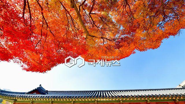 [오늘날씨] 출근길 '영하 6도' 칼바람...서울 낮 8도-광주 10도-제주 13도