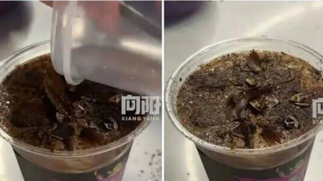 하루 10잔 이상 팔리는 '바퀴벌레 커피'…