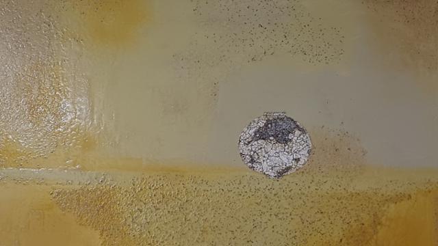 [NC전시관] 고요가 시간을 비추는 순간...손수경 개인전 ‘Silence’