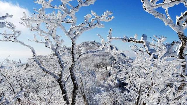 날씨, 제주산지 