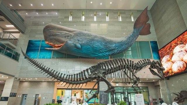 서대문구 가볼 만한 곳, 독립의 정신과 생명의 숨결이 흐르는 공간