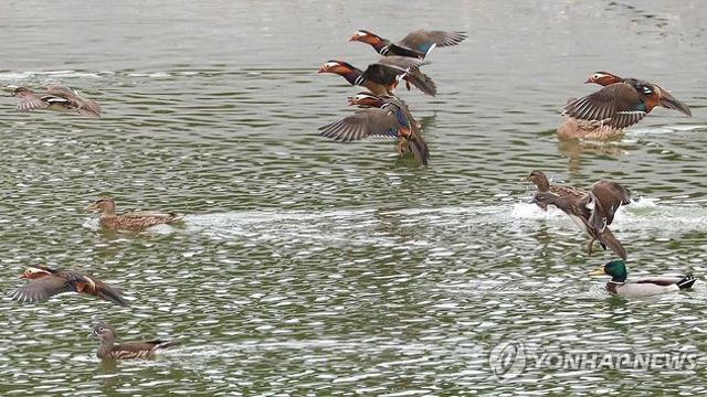 제주 대체로 흐림…낮 최고 15∼17도