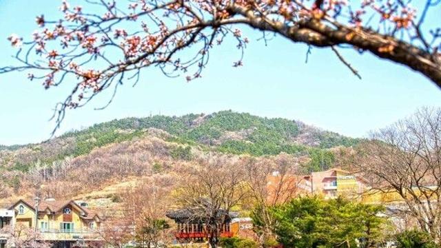 김천이 들려주는 늦가을 이야기