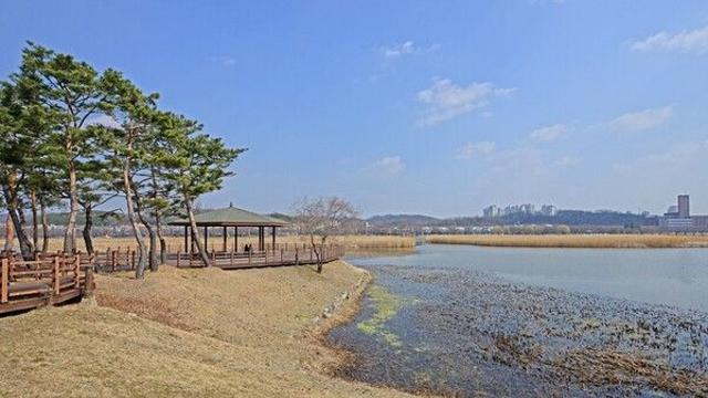 도심의 활기와 자연의 낭만, 안산이 전하는 가을날의 이야기