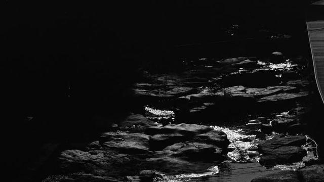 [갈라파고스] Pan-F+Microfine