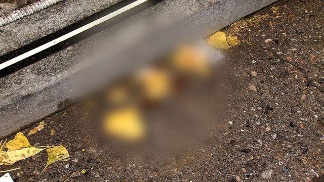 주차 시비 끝에 흉기 휘두른 50대 체포…“겁만 주려 했다”