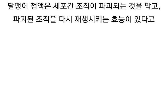 화장품 달팽이 점액 추출 장면