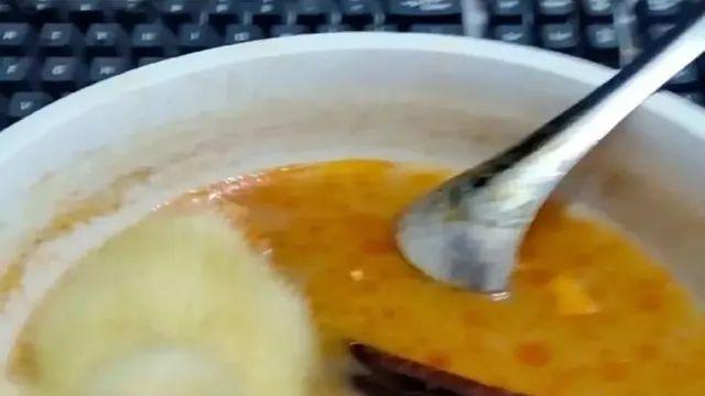 아기 오리 키울때 주의점,,