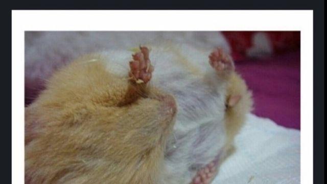 여자 방귀의 놀라운 살상력