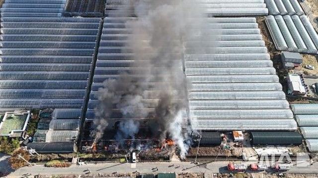 김해 블루베리 비닐하우스 불…인명 피해 없어