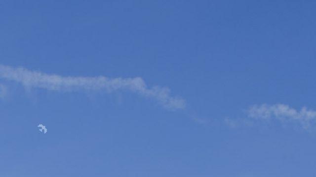 츄, 내년 1월 솔로 첫 정규앨범 낸다