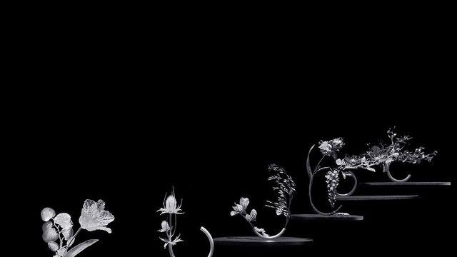 이건 마치 아트피스? 부쉐론의 2025 까르뜨 블랑슈 하이주얼리 '임퍼머넌스'