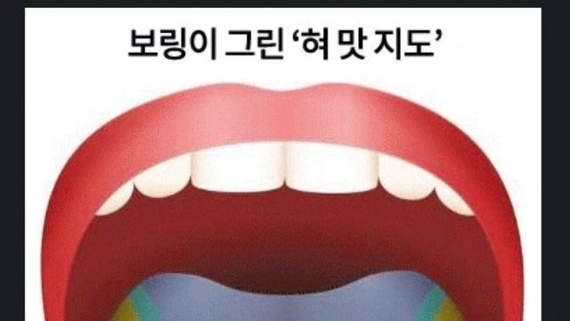 혀 맛 지도 이론